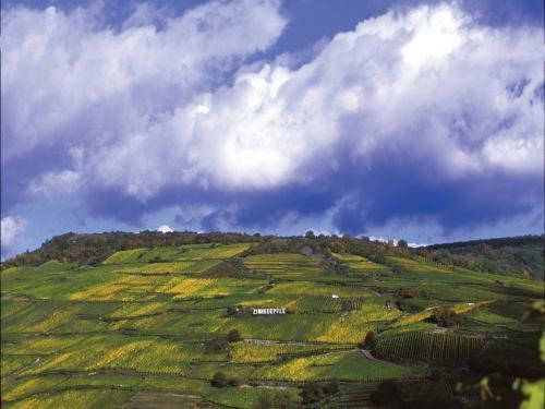 Vila Petite Cahute Soultzmatt Exteriér fotografie